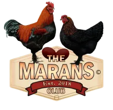 The Marans Club